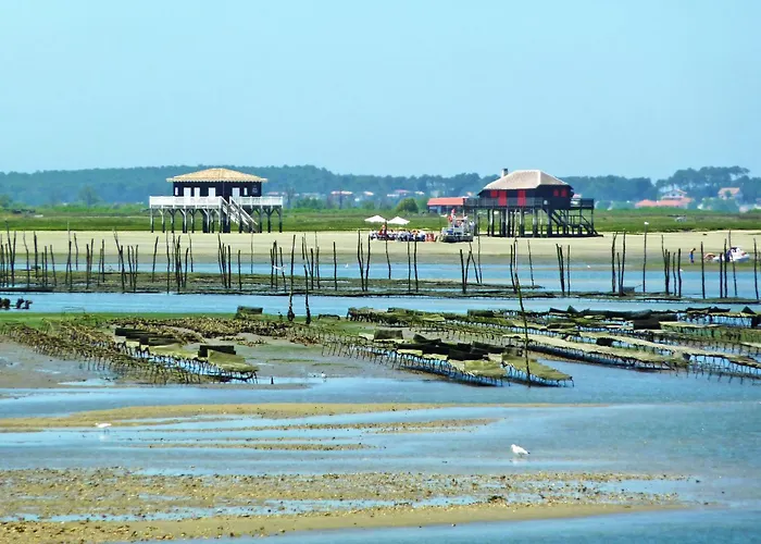 Eugenie-4 By Interhome * Arcachon